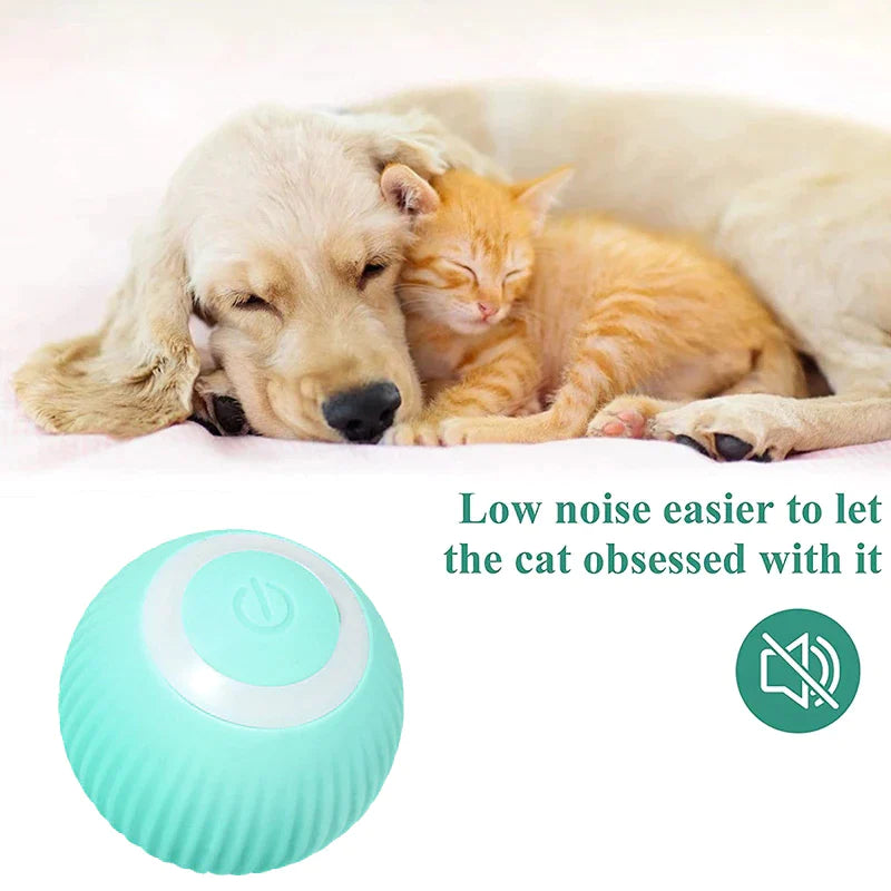 PetJoy Ball