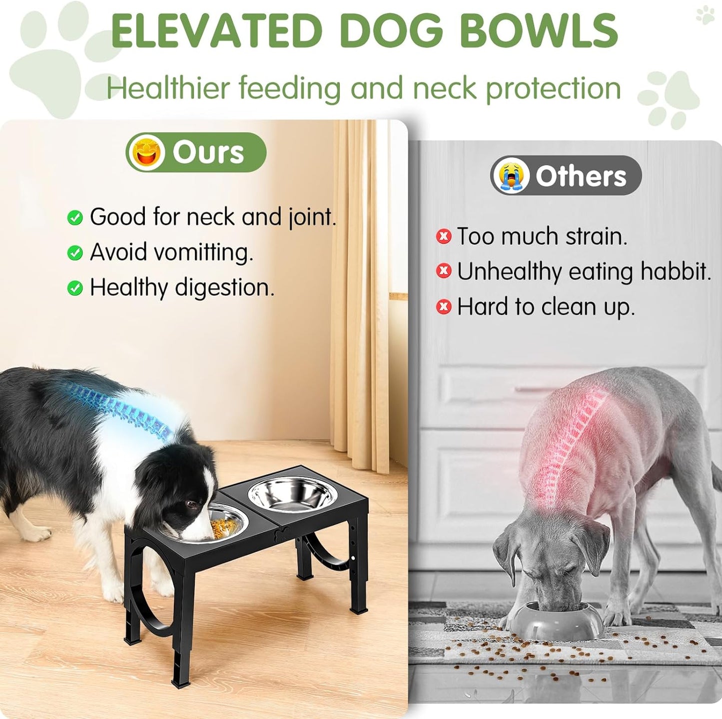 PawLift Bowl