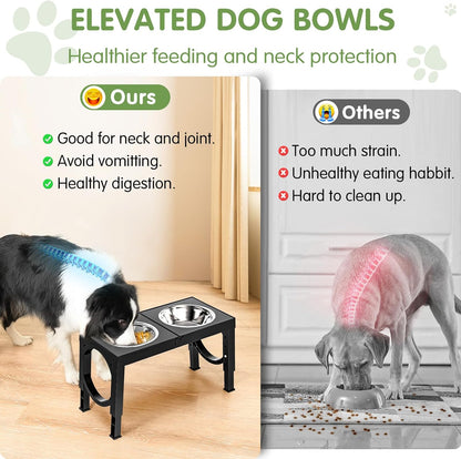 PawLift Bowl