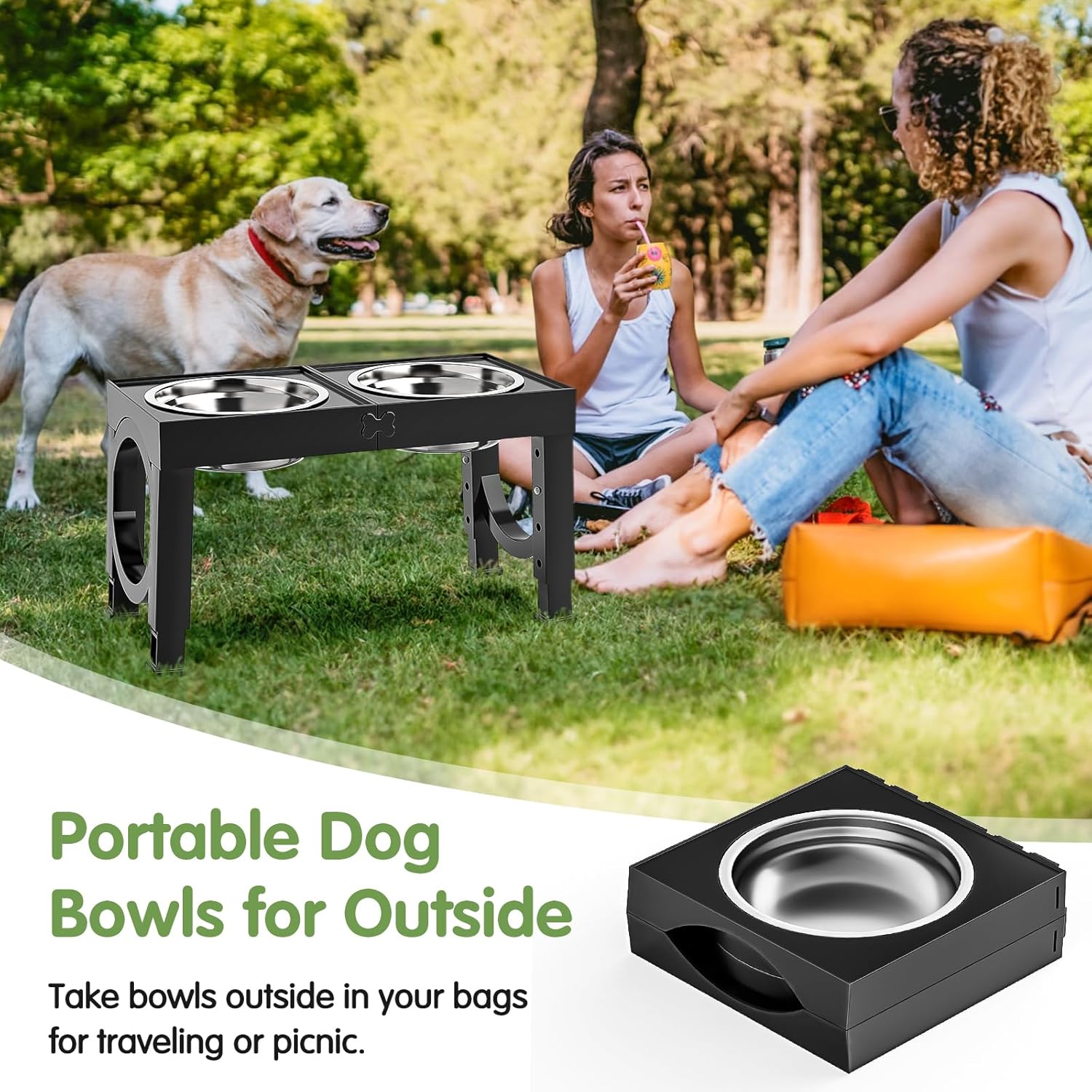 PawLift Bowl