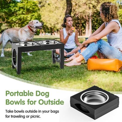 PawLift Bowl
