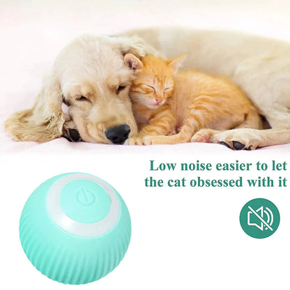 PetJoy Ball