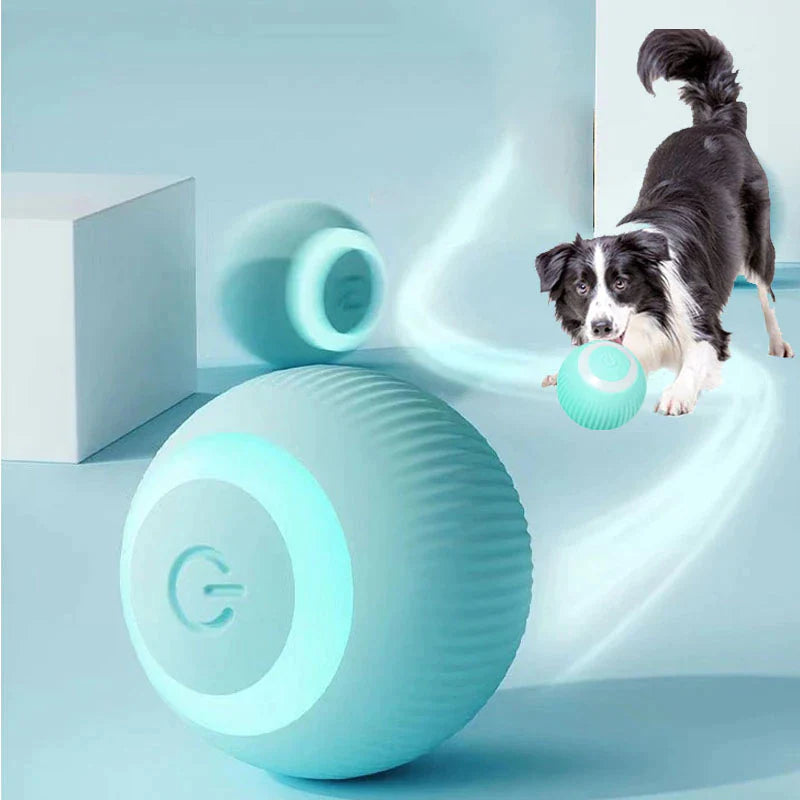 PetJoy Ball